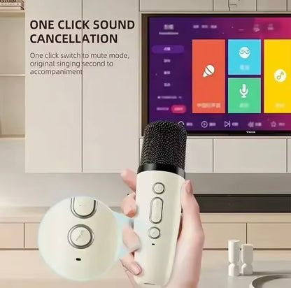 Wireless Bluetooth Karaoke