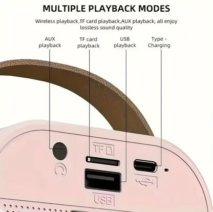 Wireless Bluetooth Karaoke