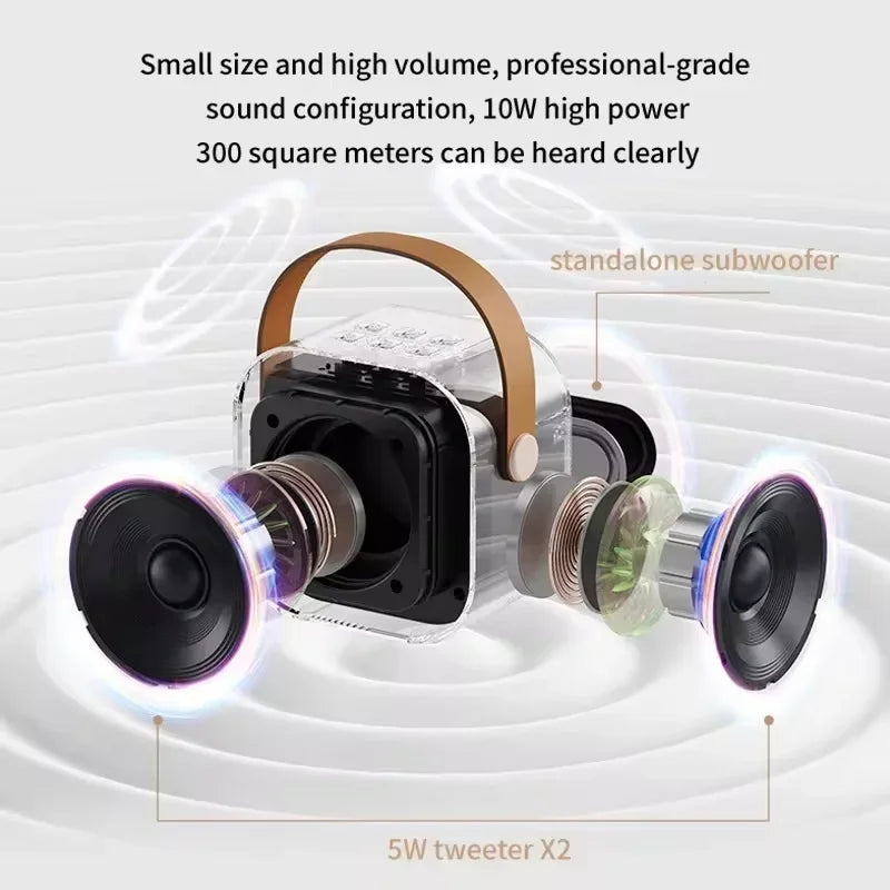 Wireless Bluetooth Karaoke